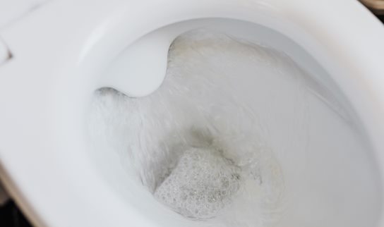 Ontstoppingen Nekst Tom